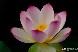 人生最好的生活状态：心中有爱，身体无恙、内外无愁图片
