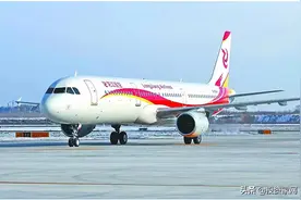最小航空公司靠3架飞机存活,2020，空姐拍视频做微商，客运变货运图片