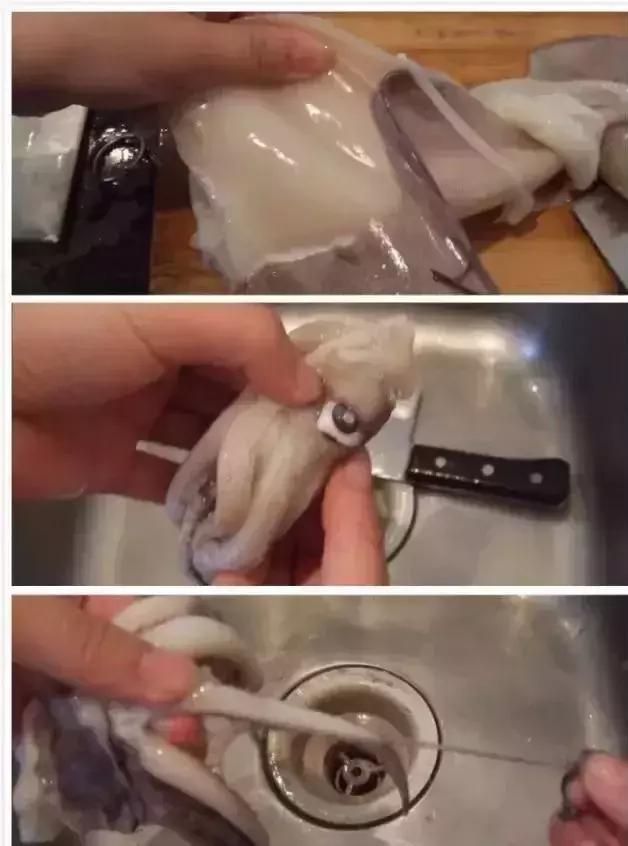 秦皇岛大厨总结的海鲜清洗大全,实用到爆!收藏了~