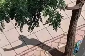 “我一脚踢翻了亲哥的婚礼，怎么办？在线等！”，今日最佳就是你吧哈哈哈哈哈图片