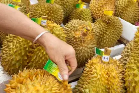 买榴莲时，记住3招，挑出“母榴莲”，皮薄肉厚，不花冤枉钱图片