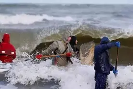 海边捡蜜蜡，月入数万美元！这不是梦图片