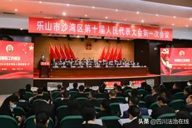 一图读懂乐山市沙湾区人民检察院五年工作报告图片