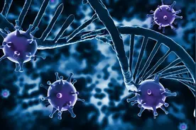 动物界“毒王”老鼠，携带多种致命病毒，科学家为何不消灭它们？图片