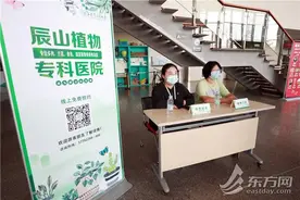 心爱的花草“养残”了怎么办？上海首家植物专科医院开诊啦 请收下这份就诊攻略图片