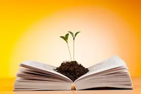 你，若是放不下婚外的情人，请你用这三种方式处理，你才会幸福！图片