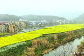 须知：农村土地全部统一耕种？大锅饭又开始了图片