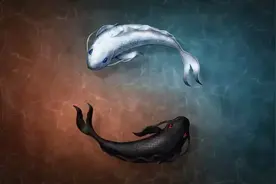 海德格尔：我们也许做的太多，思考的太少图片
