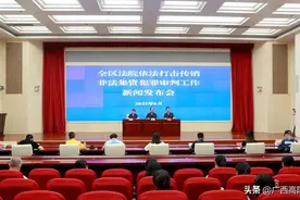 广西法院重拳打击传销、非法集资犯罪 发布典型案例图片