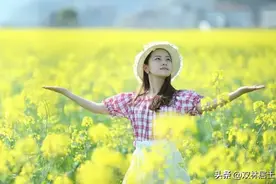 和无心客《不老松》图片