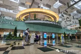 “从新加坡飞上海，我向海关申报了咳嗽症状，下机后被这样安排”图片