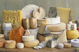 撒丁岛活蛆奶酪，既危险又美味图片