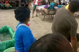 刘昊然彭昱畅新戏造型曝光，完全认不出，彭昱畅撞脸撒贝宁图片