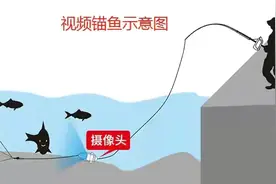 山东首禁：黑科技“灭绝式”暴力锚鱼，可视锚鱼器为何成为禁器？图片