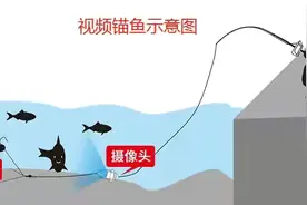 山东首禁：黑科技“灭绝式”暴力锚鱼，可视锚鱼器为何成为禁器？图片