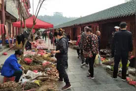 是什么原因导致中药材质量下降，用药后效果不如从前呢？图片