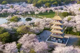 武汉有7所211大学，每一所都“占山为王”，依山傍水好风光图片