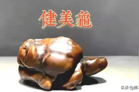 媲美价值3000万的神龟奇石，吃醉酒后，被一文不值得贱卖图片