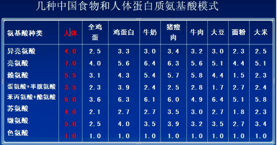 「氨基酸科普」怎样获取优质蛋白质？