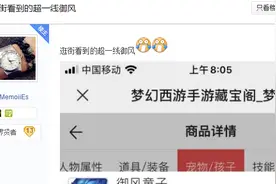 梦幻西游手游：真的值10万人民币？玩家晒出第一御风童子求估价图片