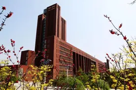 这所双一流大学研究院，本科只招山东本地生源，分数线低得离谱图片