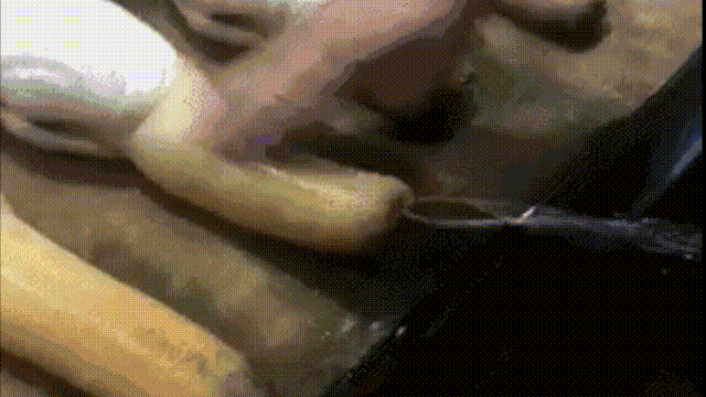 蛤、蚶、蛏、蚝、蚬有什么区别？这是一群美味海怪与人类的故事
