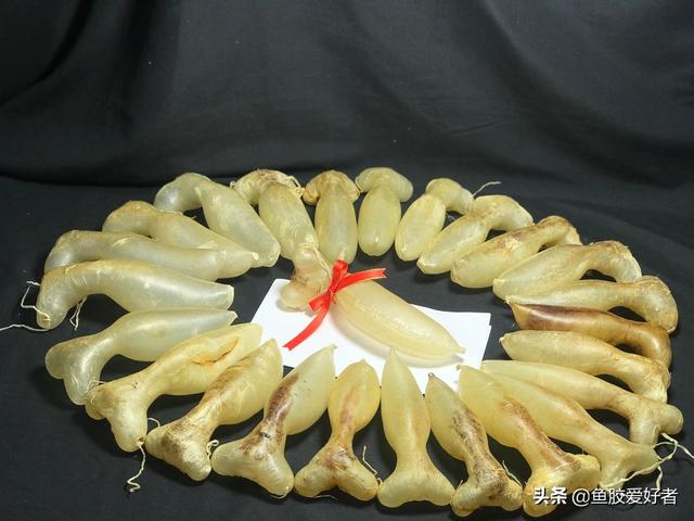 蜘蛛鱼胶图片价格 蜘蛛鱼胶功效作用