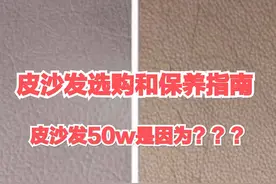 皮沙发选购和保养指南图片