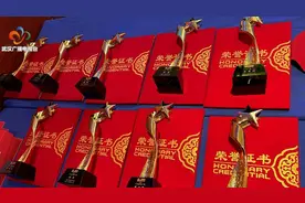 2020“TV地标”武汉广播电视台斩获四项大奖图片