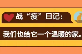 不一样的战“疫”日记：我们也要给它一个温暖的家图片