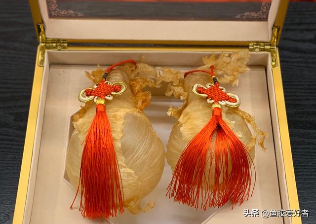 花胶可以多泡几天吗 花胶可以多泡几天吗有毒吗