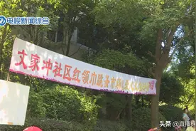 我们的暑假 文家冲社区：小小集市 大大爱心图片
