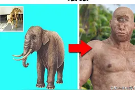 某种意义上，真实存在过或依然存在的7个传说中的生物图片