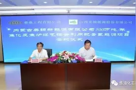 总投资100亿元！赛鼎签约内蒙古新建500万吨煤化工项目图片