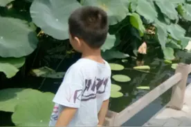 郑州孕妈突然早产遭数名司机拒载，好心的哥送她去医院，还帮助转院图片