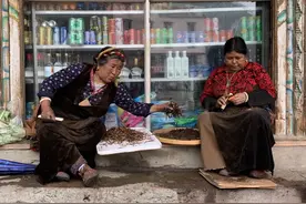 比黄金还贵的虫草，疫情后“跌了”图片