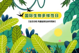 国际生物多样性日 | 惊现~汀江源秘境！春来长汀鸟欢悦图片