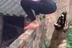 不太明显的沙雕情头图片