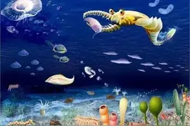 太平洋海底2028米处发现怪异生命，有细长的脖子和大大的眼睛图片