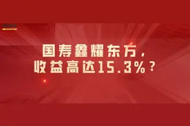 国寿鑫耀东方，收益高达15.3%？图片