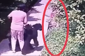 安阳“狗咬人”事件：被免职的除狗主人外还有一人，曾是当地最美环保卫士图片