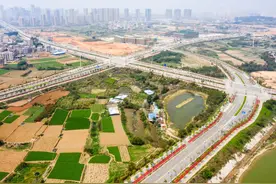 打破二元结构：中国农业发展现状批判图片