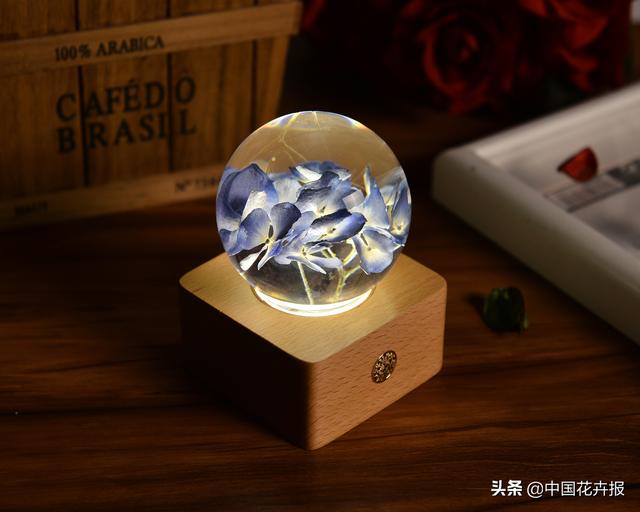 教师节到了！能送给老师的除了鲜花束，还有这几种花