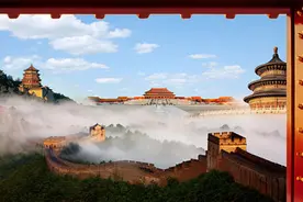 美国警察殴打中国外交官，外交官用中国功夫还击图片