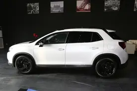 越卖越惨的DS豪车，低至20.69万才月销4台，连品牌都被人收购了图片