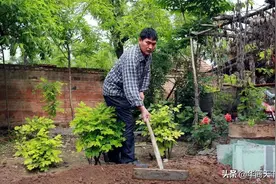 是亚楠说漏了嘴，还是在试探网友？正中老朱下怀，清理门户开始了图片