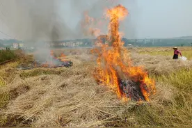 大气环境污染是否主要来源于秸秆焚烧图片