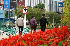 感动！厦门自闭症男孩才艺双修，获得音乐艺术奖后画作版权又被购买图片