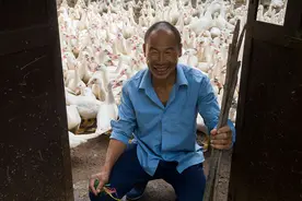 山村农民可以在家饲养哪些动物还能赚钱，这里人们已经尝到了甜头图片