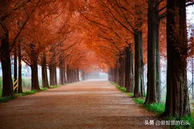 愚蠢的人都有一个显著的特征：喜欢把别人当傻瓜图片